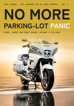 No More Parking-Lot Panic, Vol. II